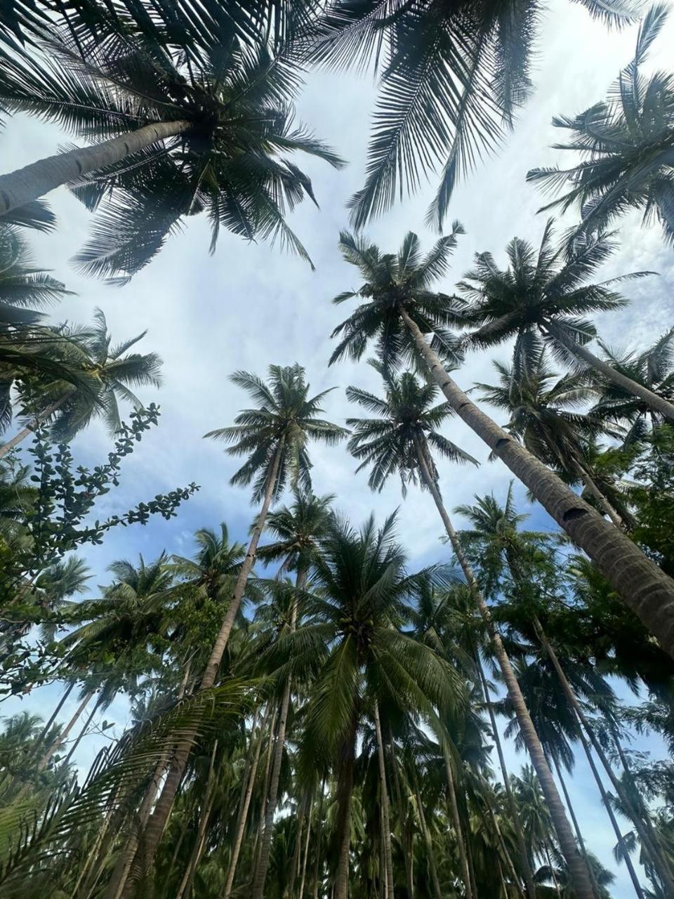 Efrena Agro Tourism Beach El Nido Zewnętrze zdjęcie