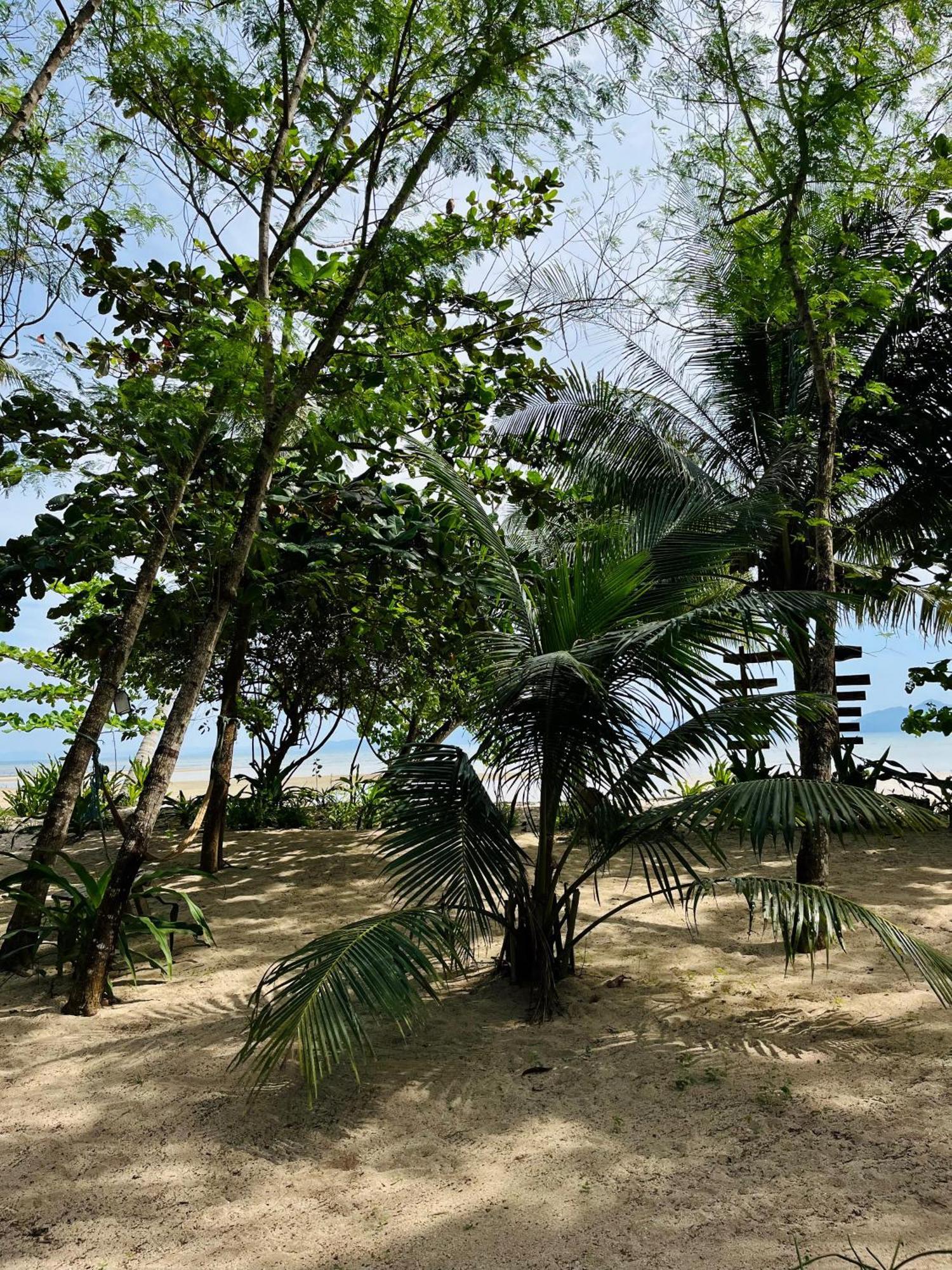 Efrena Agro Tourism Beach El Nido Zewnętrze zdjęcie