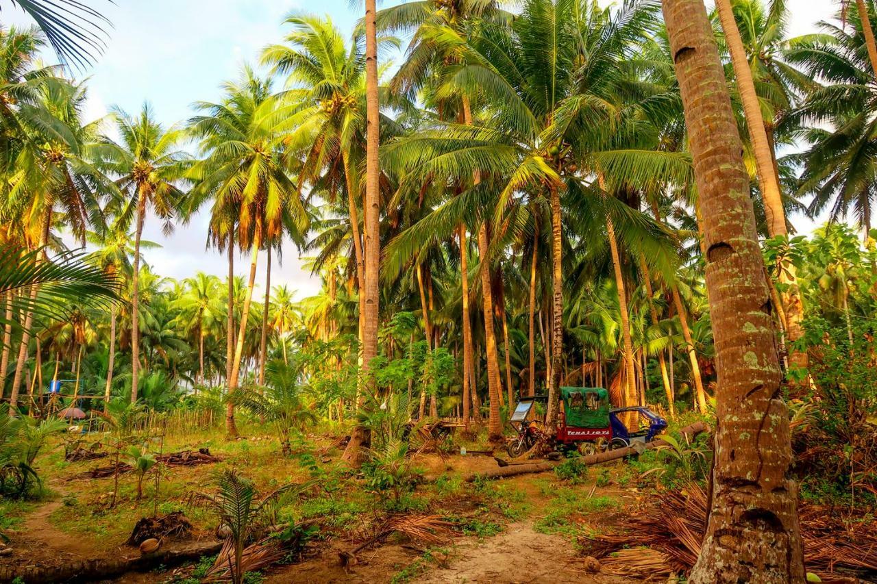 Efrena Agro Tourism Beach El Nido Zewnętrze zdjęcie